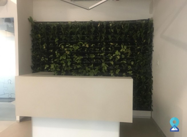 coworking Office in Cyber city, gurgaon