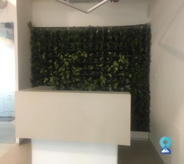 coworking Office in Cyber city, gurgaon