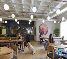 Office Space Embassy Golf Links, Cinnabar Hills, Bengaluru